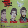 حمیده رضائی سیاه تن